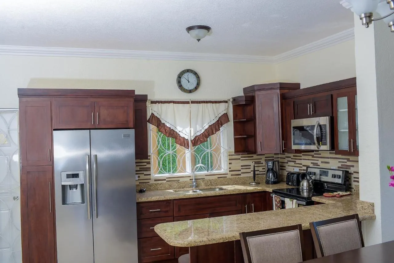 Tropical Luxury Dreams Villa Ocho Rios